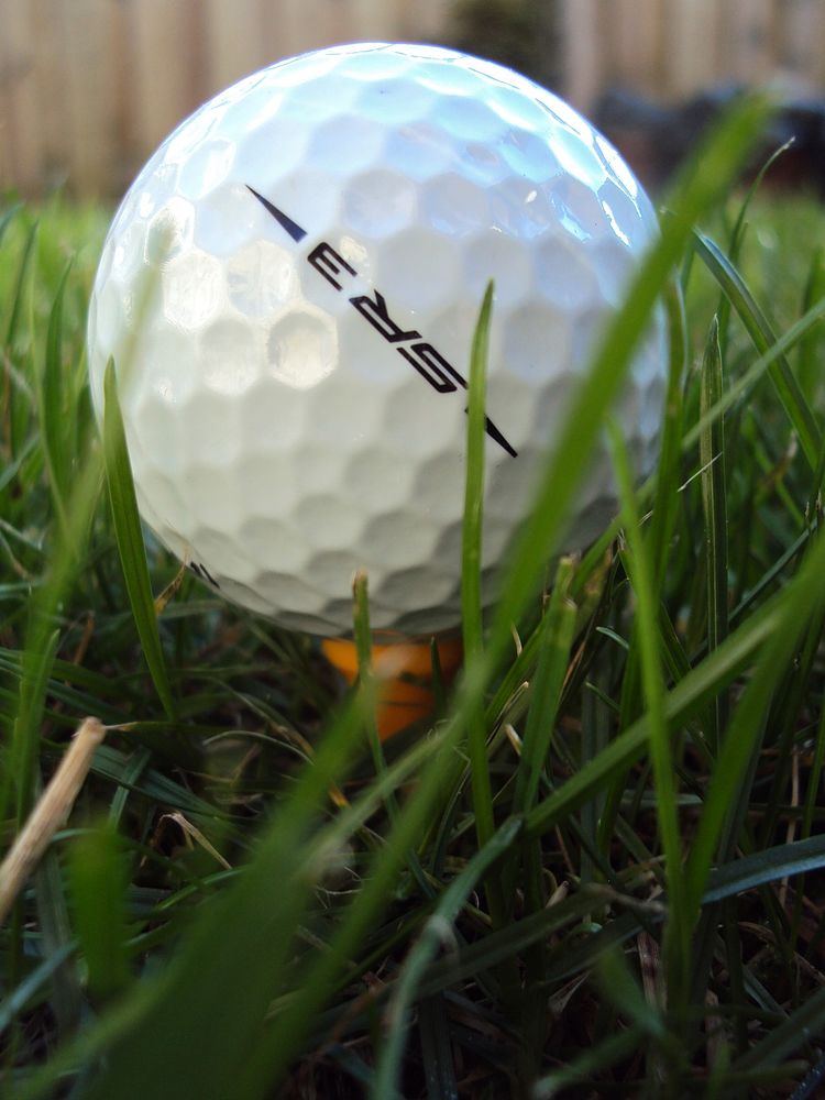 Closeup on golf ball in grass. Free public domain CC0 photo.
