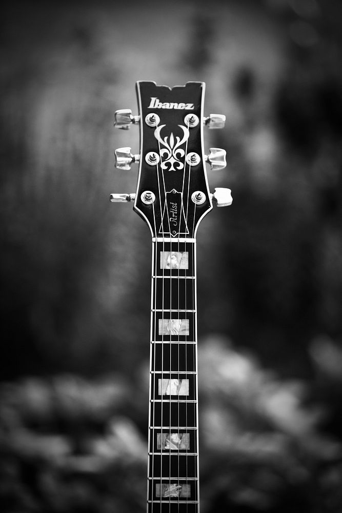 Ibanez acoustic guitar, location unknown, 19 January 2016.