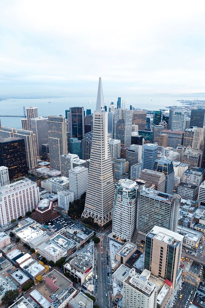 Skyscraper in San Francisco, CaliforniaDescription. Free public domain CC0 photo.