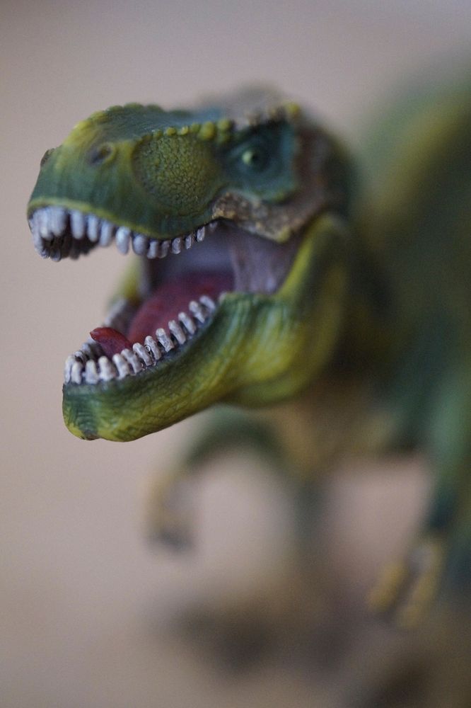 Dinosaur toy. Free public domain CC0 image.