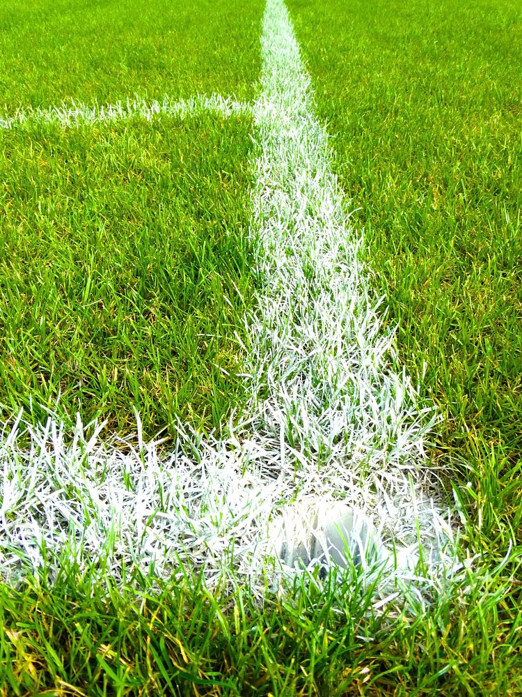 football field corner. Free public domain CC0 photo.