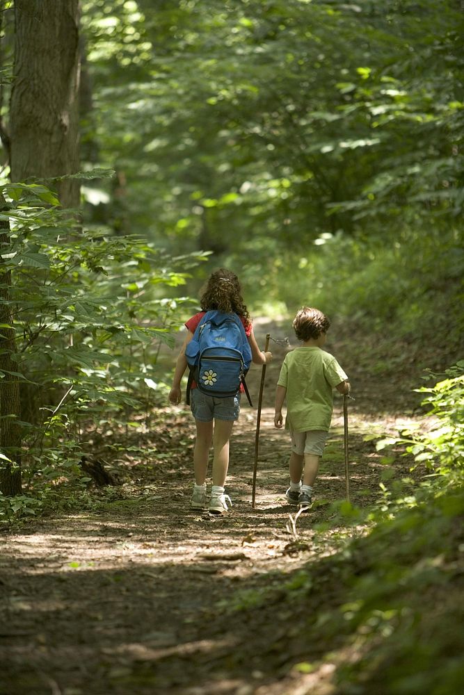 Children walking in the forest. Free public domain CC0 photo.