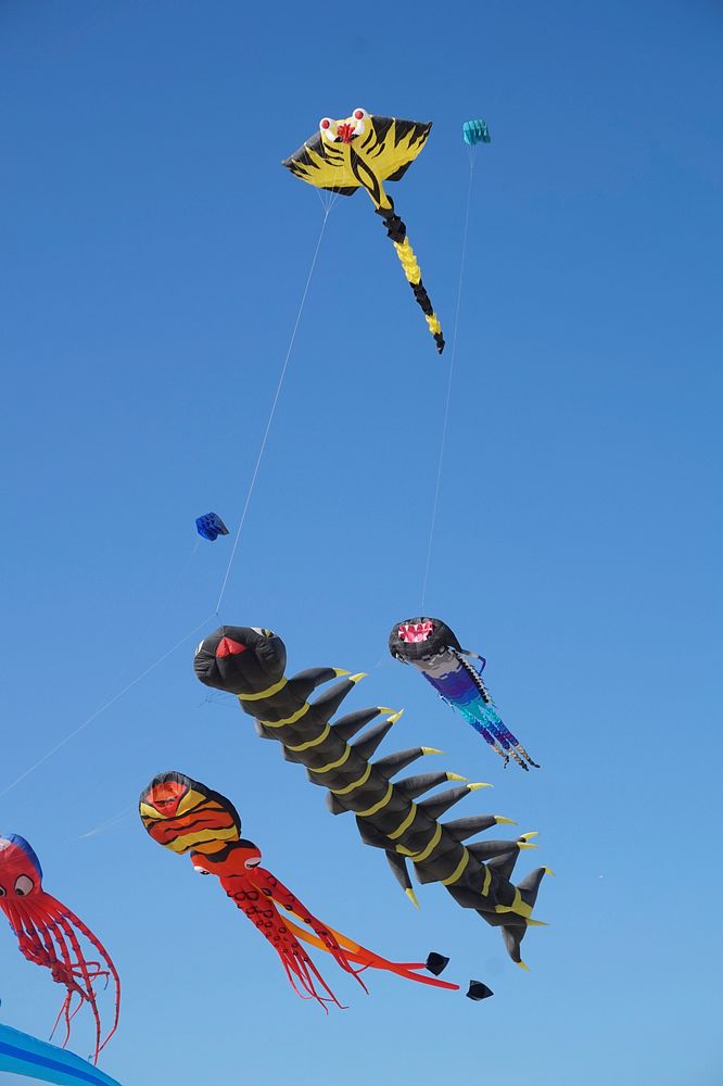 Fancy kite. Free public domain CC0 photo.