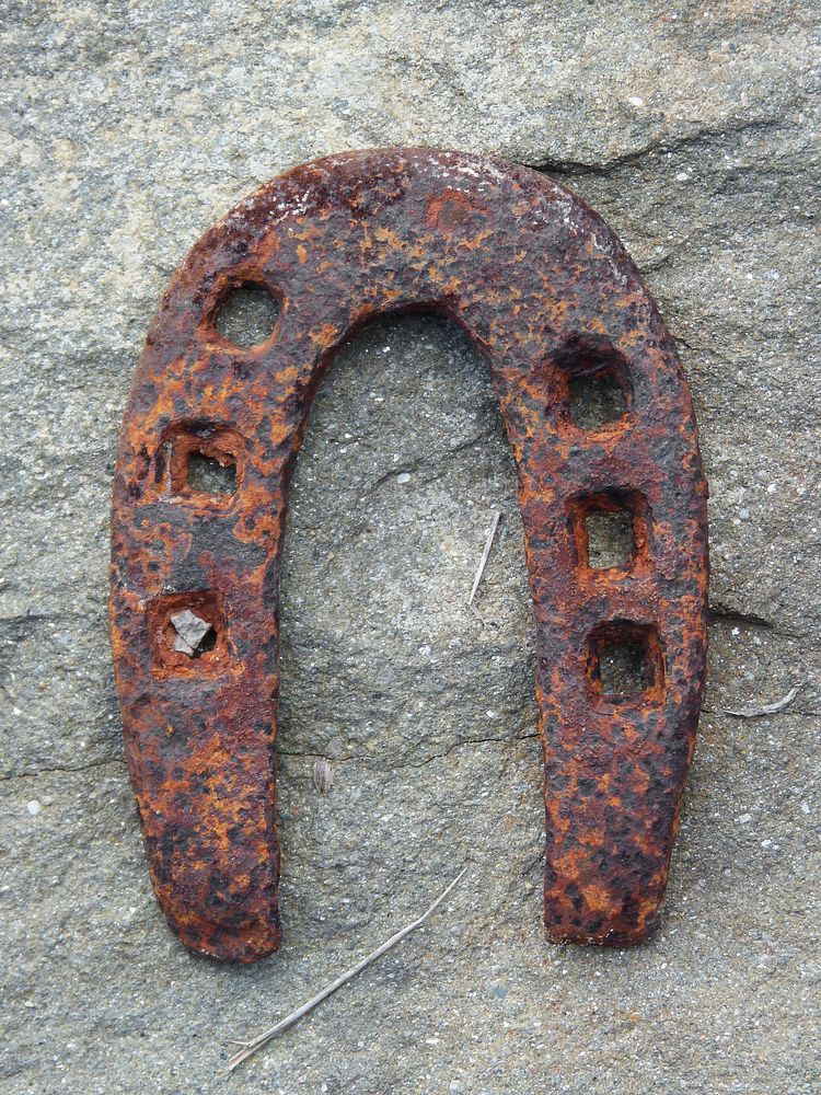 Old rusty horseshoe. Free public domain CC0 photo.