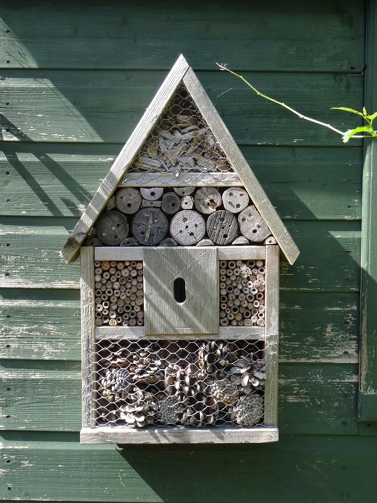 Wooden nesting house. Free public domain CC0 photo.