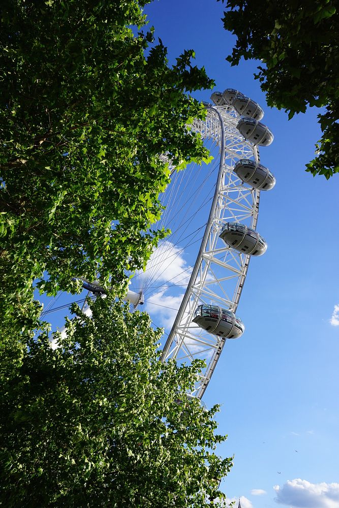 The London Eye, or the Millennium Wheel in South Bank, London. Free public domain CC0 photo.