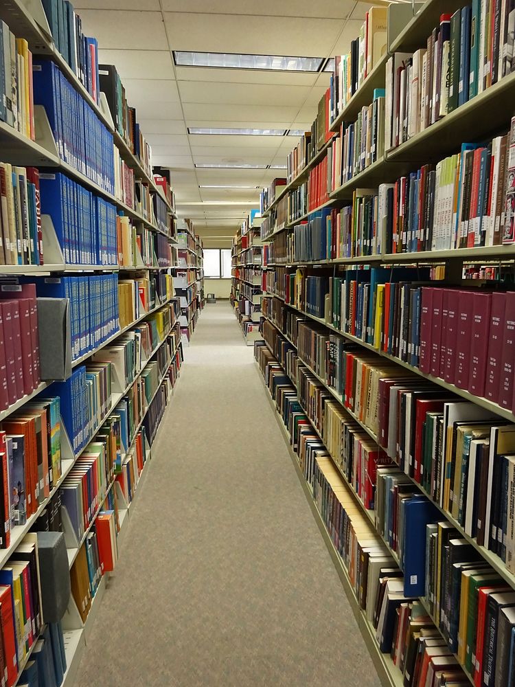 Bookshelf in library. Free public domain CC0 photo
