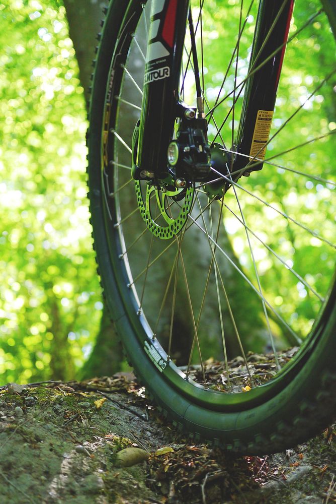 Bike tyre. Free public domain CC0 photo.