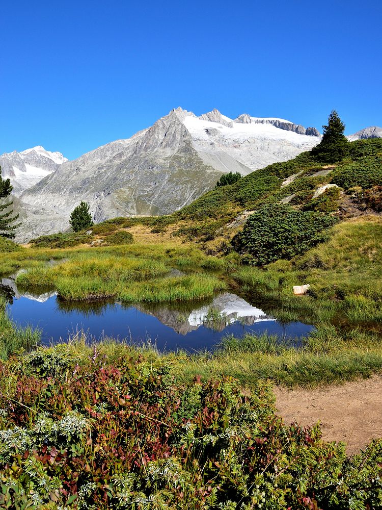 Beautiful landscape in Switzerland. Free public domain CC0 photo