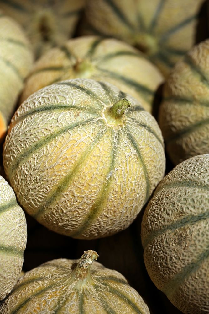 Closeup on pile of Charentais melon. Free public domain CC0 photo.