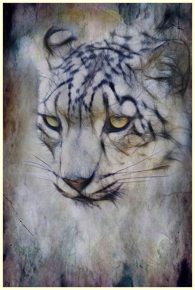 Tiger drawing grunge texture. Free public domain CC0 photo.