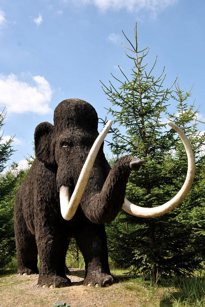 Mammoth sculpture in park. Free public domain CC0 image.