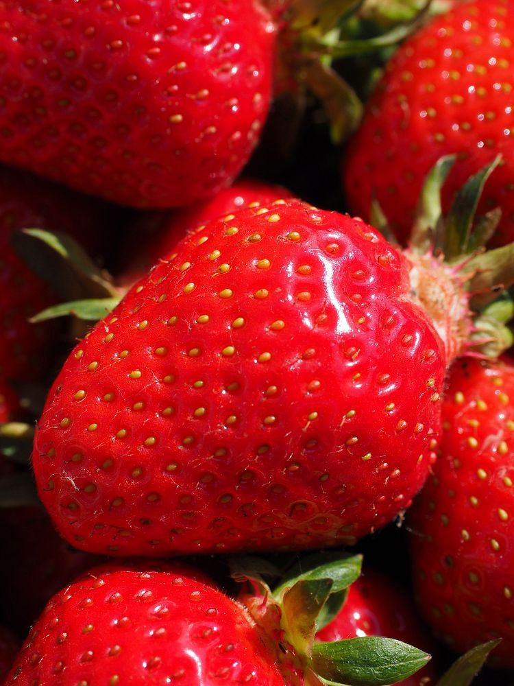 Closeup on many fresh strawberries. Free public domain CC0 image. 
