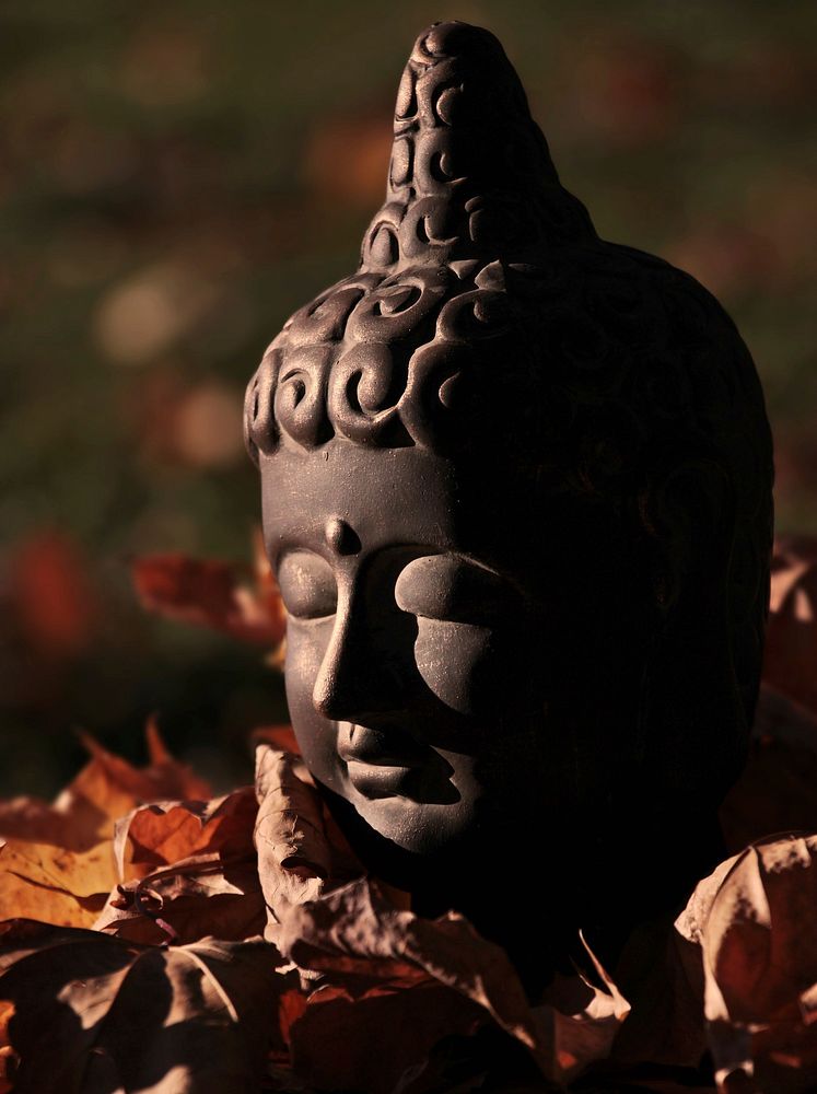 Free Buddhist head statue close up public domain CC0 photo.