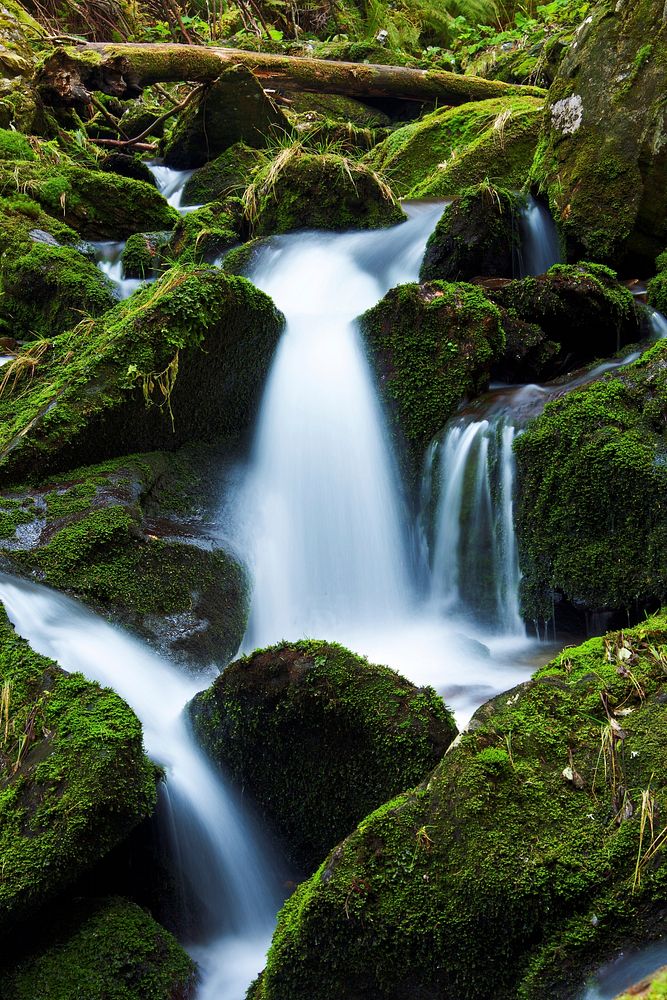 Free waterfall in green forest photo, public domain nature CC0 image.