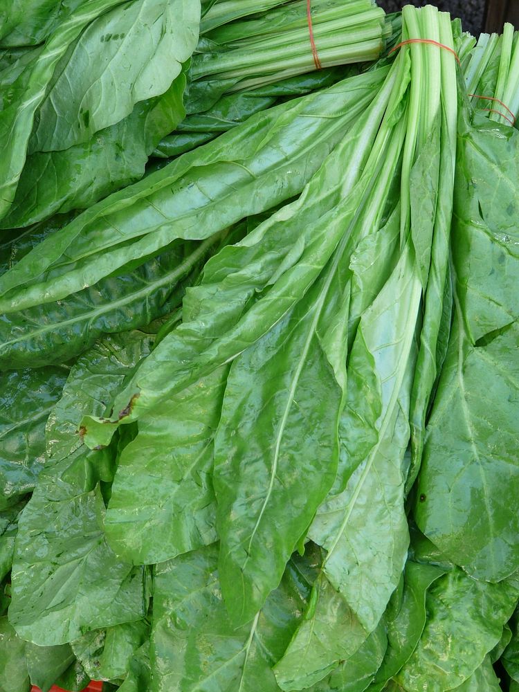 Free bunch of spinach image, public domain food CC0 photo.