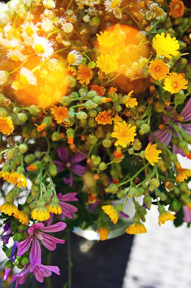 Free flower arrangement image, public domain spring CC0 photo.