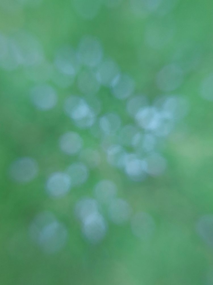 Free abstract green background image, public domain CC0 photo.