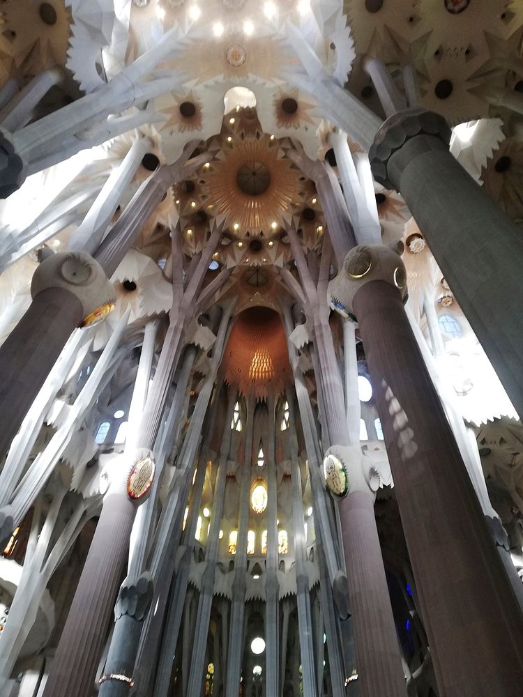 Free La Sagrada Familia image, public domain architecture CC0 photo.