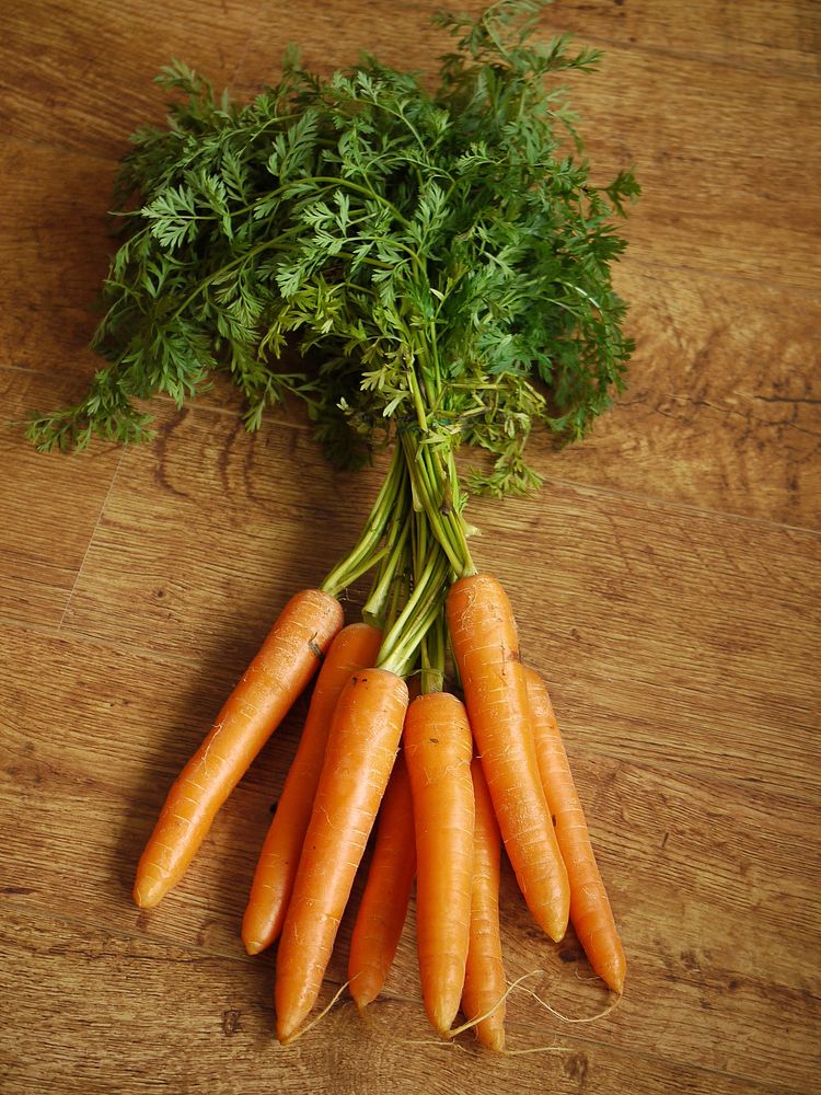 Free carrots image, public domain food CC0 photo.