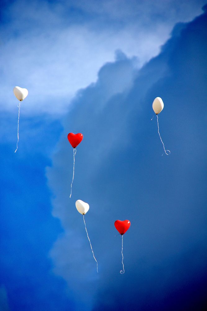 Free heart latex balloons image, public domain celebration CC0 photo.