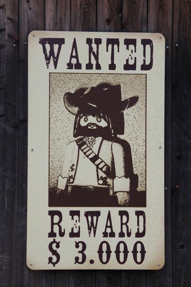 Wanted poster, reward $3000 - 03/05/2017