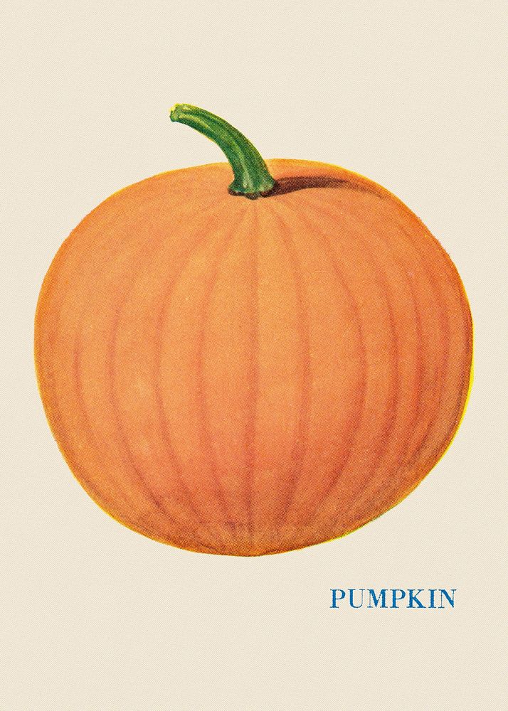Pumpkin illustration, vintage watercolor design, digitally enhanced from our own original copy of The Open Door to…