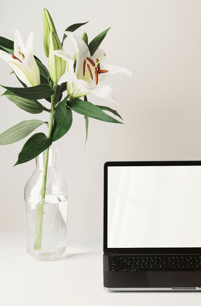 Laptop with blank screen, lily flower in vase