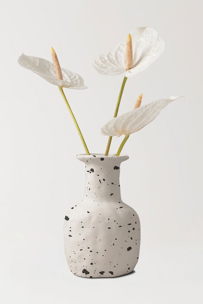 White laceleaf flower in minimal vase