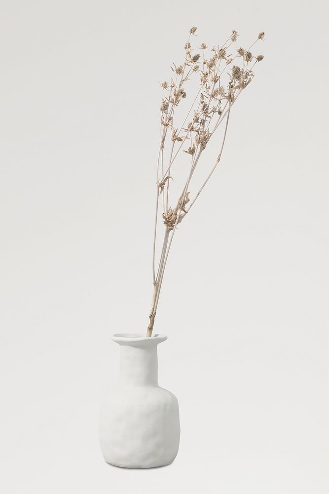Flower vase element sticker, isolated object psd