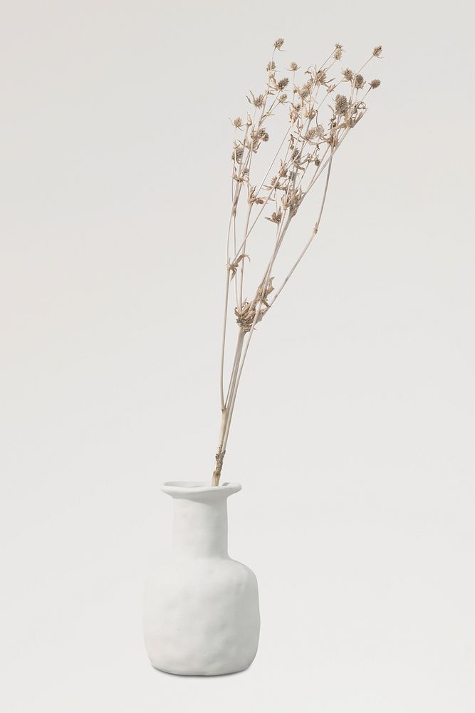 Dried flower in white vase, home decor