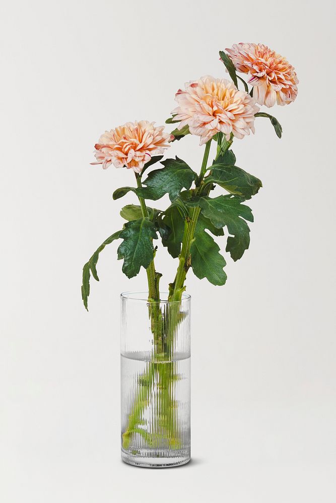 Flower vase element, home decor sticker design psd, isolated object