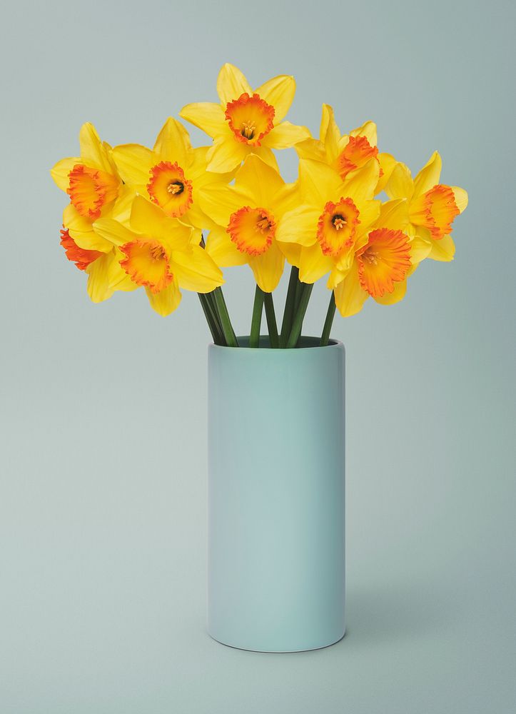 Yellow daffodils in blue vase, flower arrangement, home decor