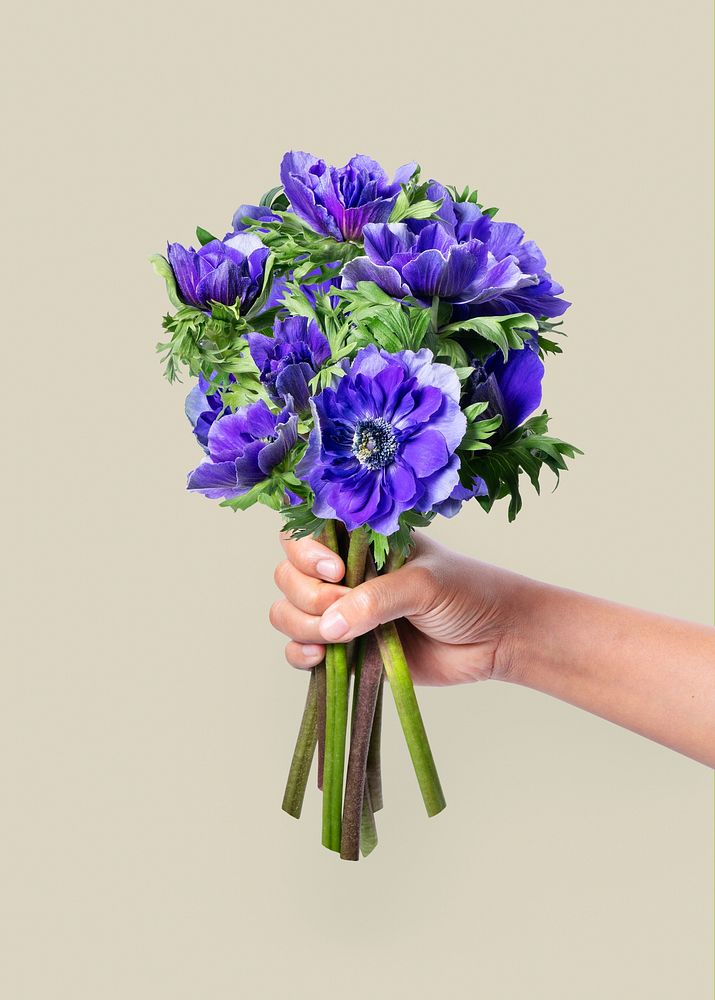 Purple anemone bouquet in hand