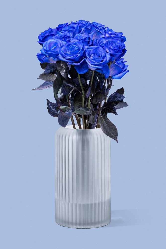 Blue roses in glass vase, home decor
