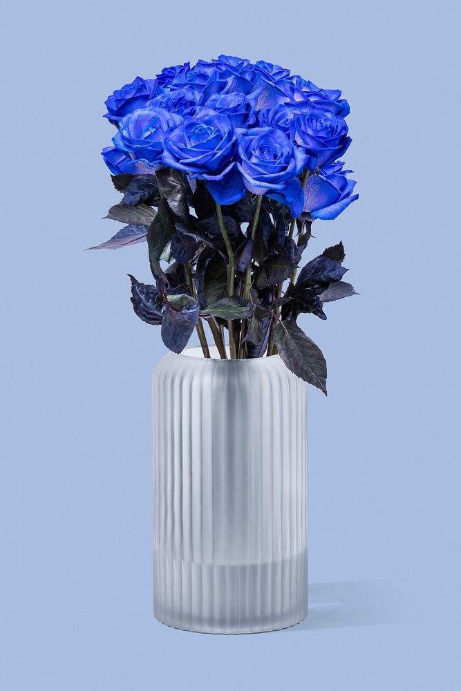 Blue roses in glass vase, isolated object psd