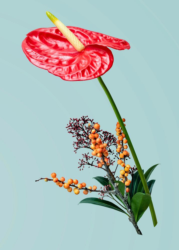 Laceleaf flower background, design space