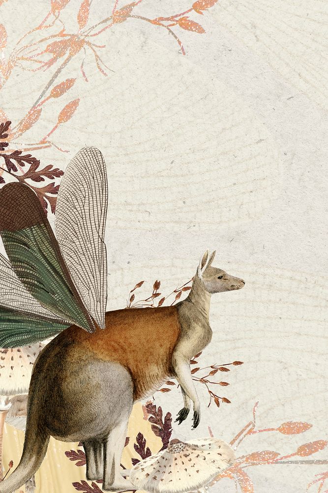 Kangaroo illustration, animal collage scrapbook mixed media artwork