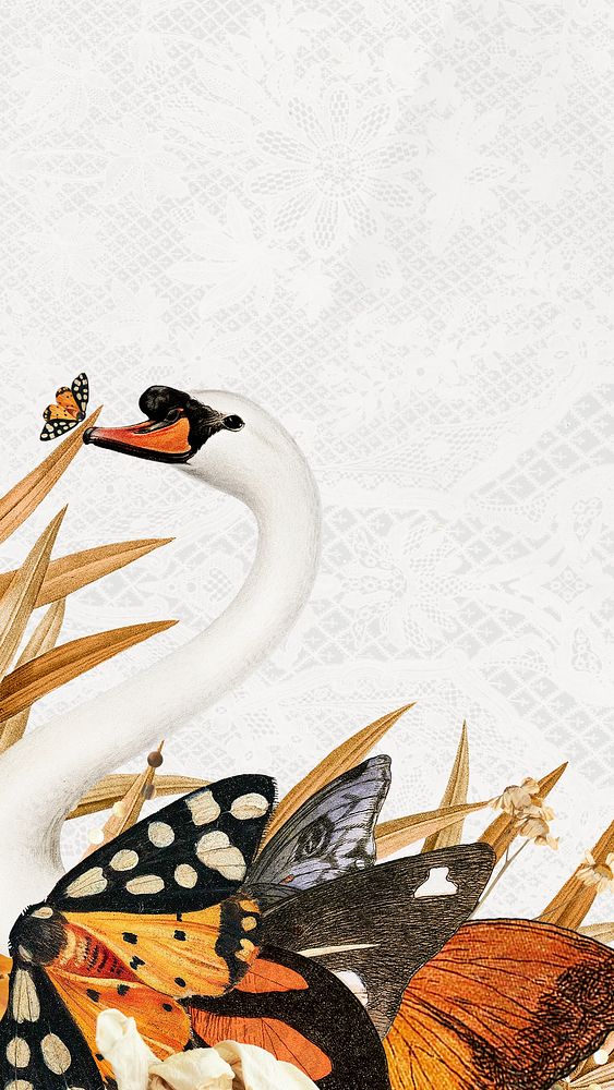 Swan iPhone wallpaper, vintage surreal collage scrapbook artwork on white lace background 