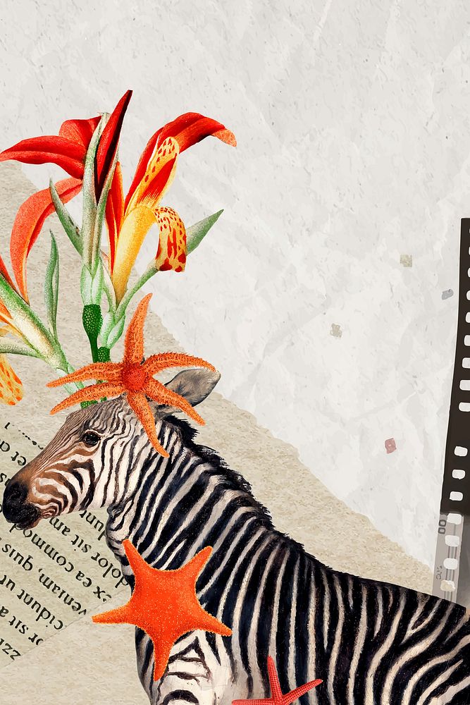 Zebra illustration, animal collage scrapbook mixed media artwork vector