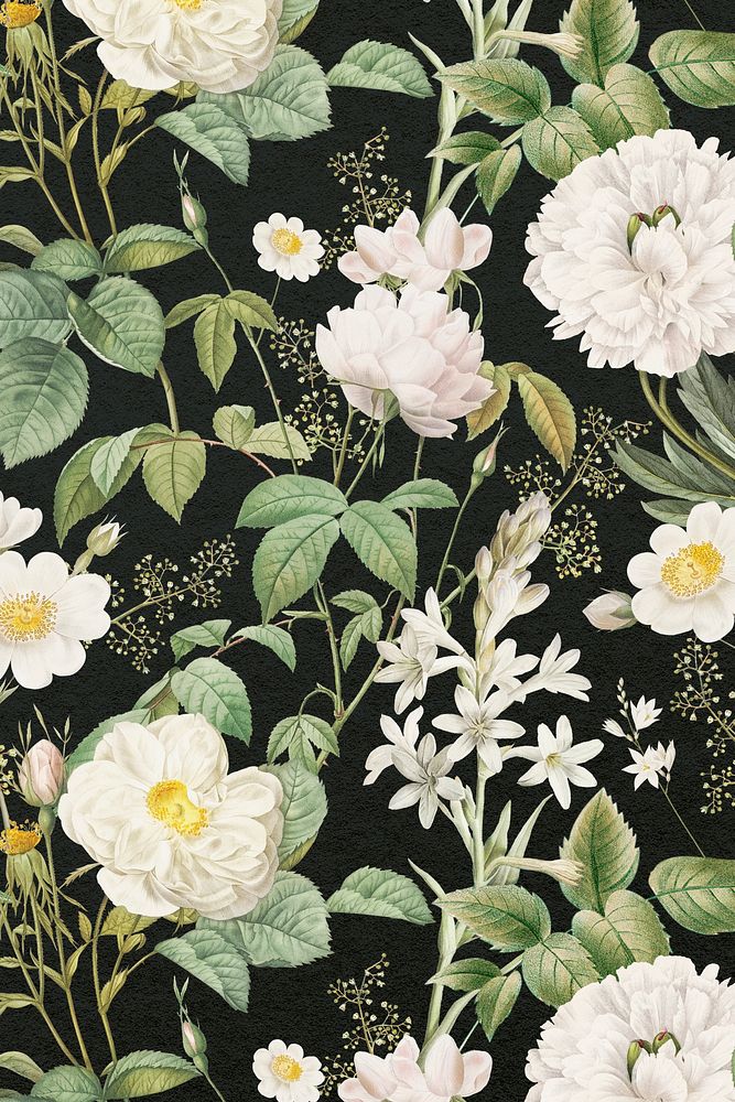 Floral pattern background, white botanical design, remixed from original artworks by Pierre Joseph Redout&eacute;