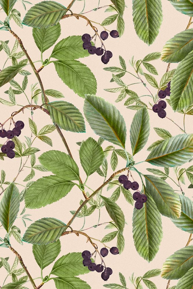 Leaf pattern background, botanical design, remixed from original artworks by Pierre Joseph Redout&eacute;