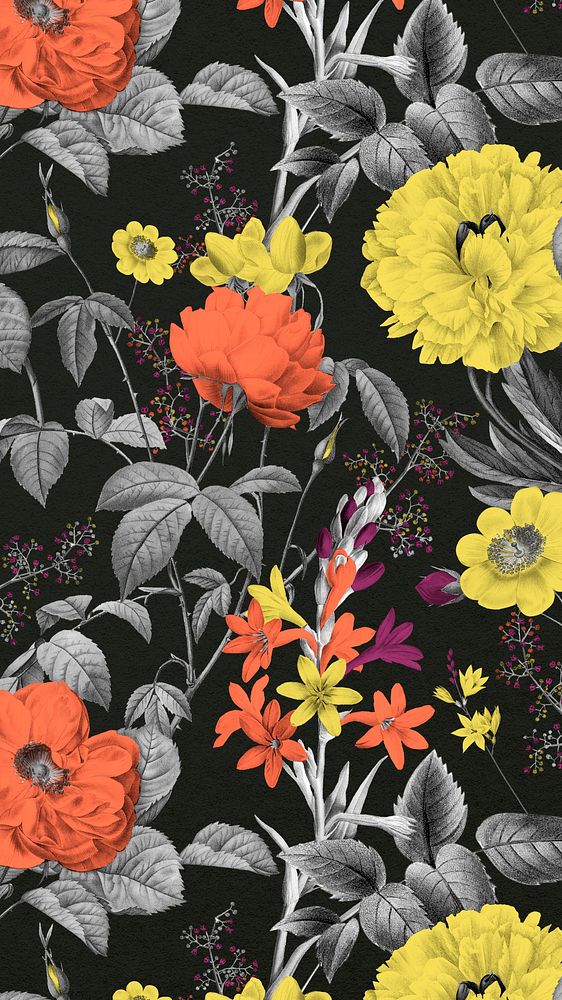 Vintage floral pattern phone wallpaper, botanical background, remix from the artworks of Pierre Joseph Redout&eacute;