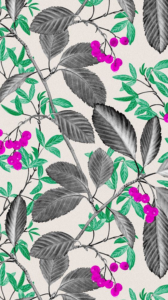 Retro floral pattern phone wallpaper, vintage botanical background, remix from the artworks of Pierre Joseph Redout&eacute;