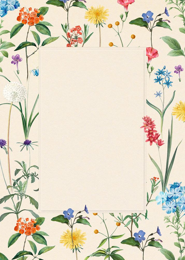 Botanical poster frame, vintage floral on cream background, remixed from original artworks by Pierre Joseph Redout&eacute;