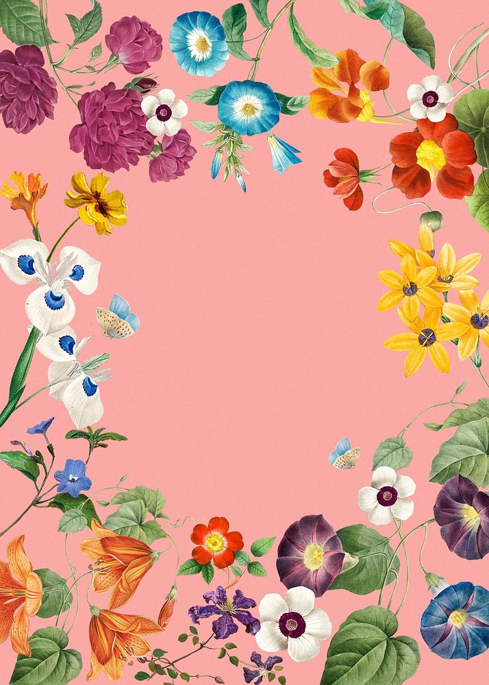 Flower poster frame, vintage floral on pink background, remixed from original artworks by Pierre Joseph Redout&eacute;