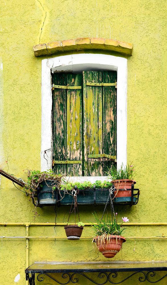 Green wooden window with plants, free public domain CC0 photo