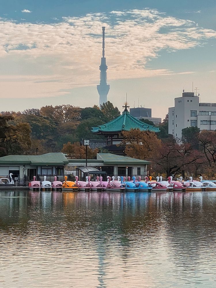 Free Ueno Park in Tokyo image, public domain Japan CC0 photo.
