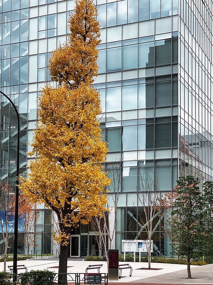 Free office building in Tokyo image, public domain Japan CC0 photo.