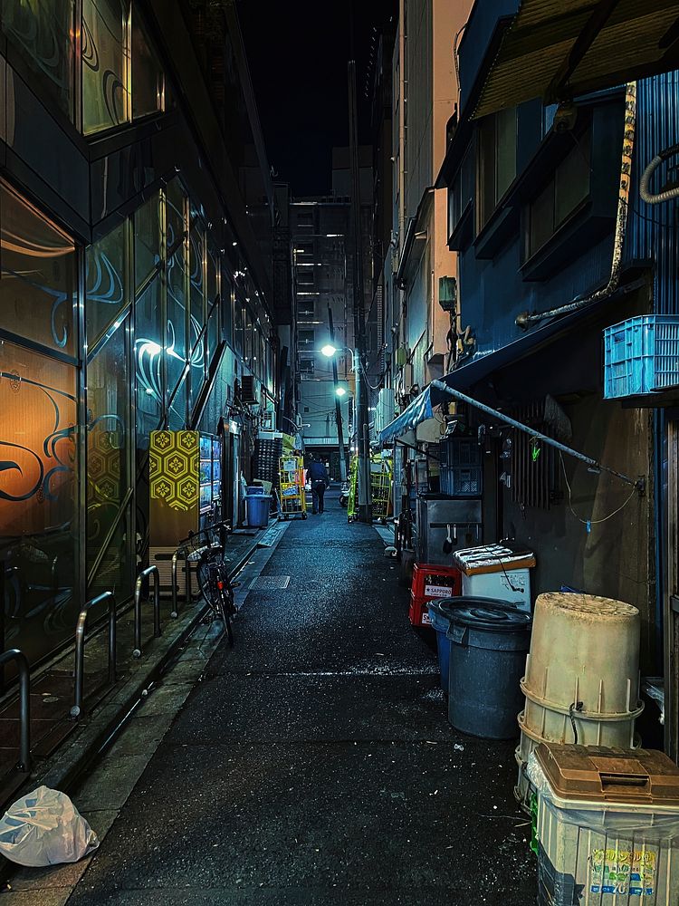 Free alley in Japan image, public domain travel CC0 photo.